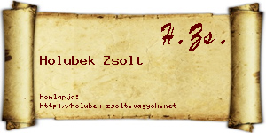 Holubek Zsolt névjegykártya